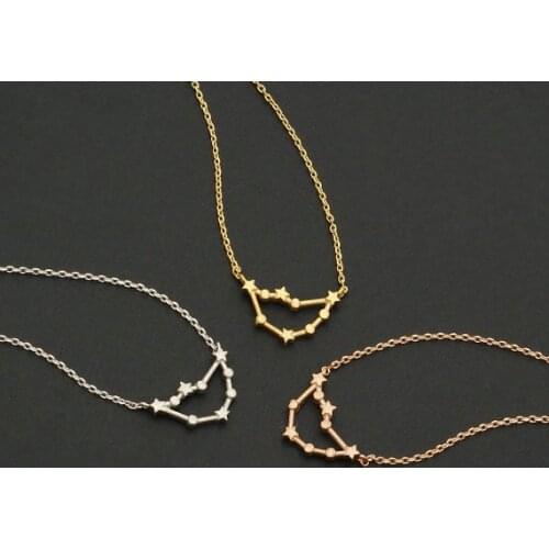 Daisies 10pcs/lot Capricorn Necklace Zodiac Sign Astrology Pendnat Necklace for Women Unique Constellation Statement Jewelry