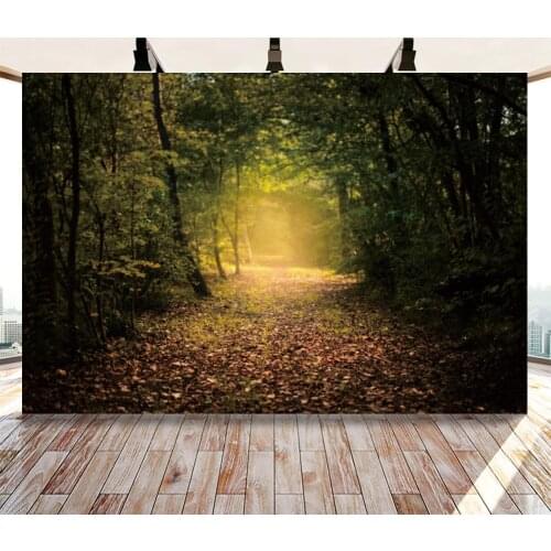 Quiet Endless Path In The ForestBackdrops Artistic Photos Background Decorations for Mysterious Theme Photography Props