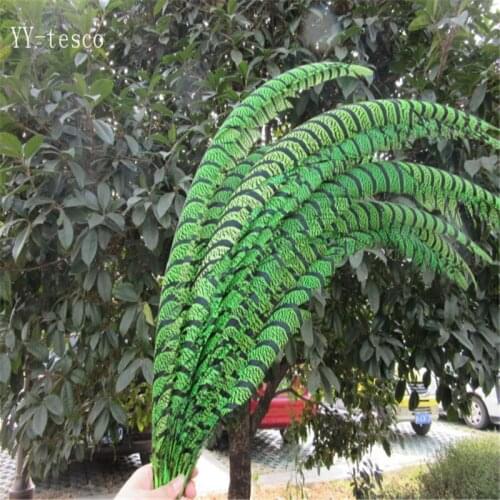 10pcs 32-36 inch/80-90cm Apple green Lady Amherst Pheasant Feather pheasant feathers for carnival party costumes decoration