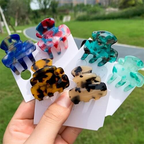 New Fresh Girls Acetic Acid Hairpin Simple Personalized New Color Hairpin Female Grip Small Headdress Gripper