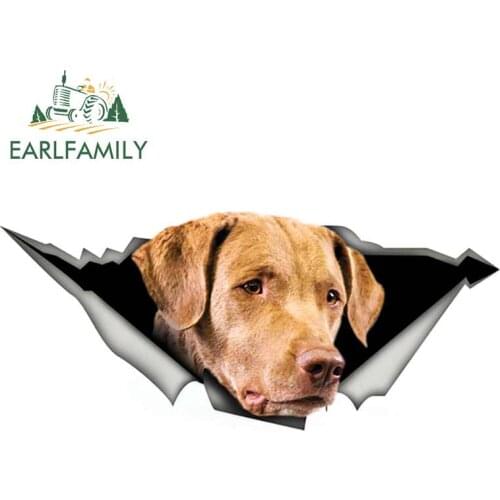 EARLFAMILY 13cm x 5.4cm Chesapeake Bay retriever Car Sticker Torn Metal Decal Reflective Stickers Waterproof Car Styling Decals