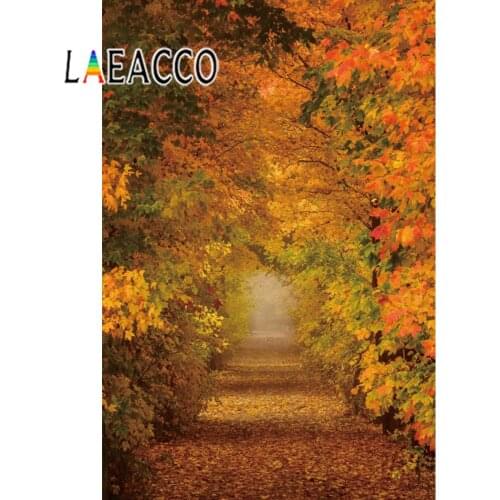 Laeacco Tree Forest Backgrounds Autumn Maples Fallen Leaves Pathway Natural Scenic Photography Backdrops Photocall Photo Studio