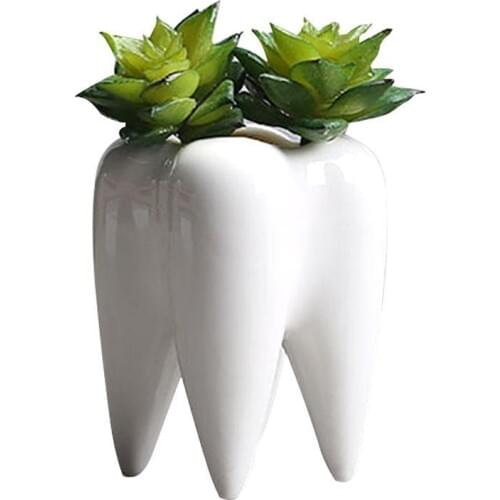 Tooth Shape Desktop Ceramic Succulent Plants Flower Pot Modern Design Mini Planter Pots Flower Vase Decor