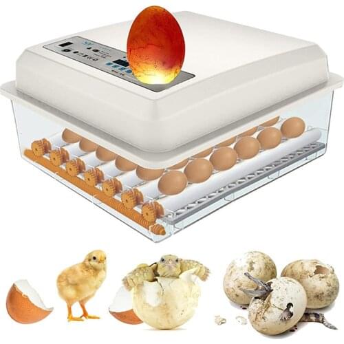 220V Eggs Incubator Brooder Bird Quail Chick Hatchery Incubator Poultry Hatcher Turner Automatic Farm Incubation Tools EU/US