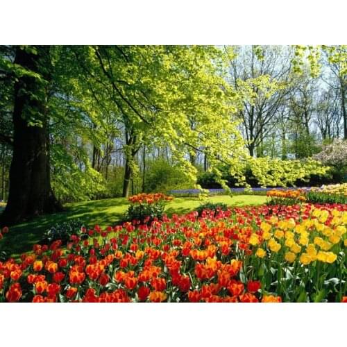 A17897 11CT/14CT/18CT/25CT/28CT oil scenery patterns Counted Cross Stitch DIY Cross Stitch Kits Embroidery Needlework Sets