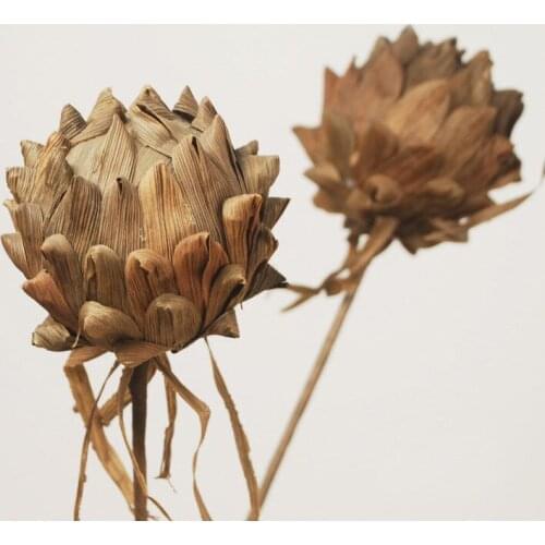 2pcs,Craft Natural Pitaya with Branch,eternelle Dried Floral Display Flower For wedding Home Decoration,christmas party decor