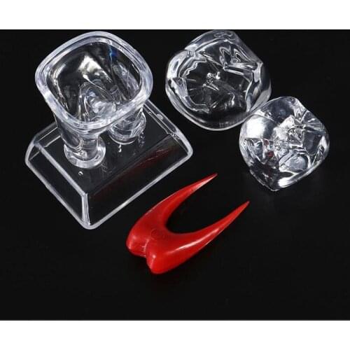 1pc Teeth Shape Gift Dental Teaching Study Model Dental Base Hard Teeth Model Detachable Tooth Molar Model Separable