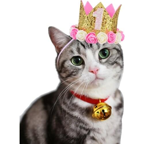 New Arrival Pet Cat Dog Birthday Party Hat One To Five Caps First Birthday Princess Crown Party Puppy Kitten Favors Headband Hat