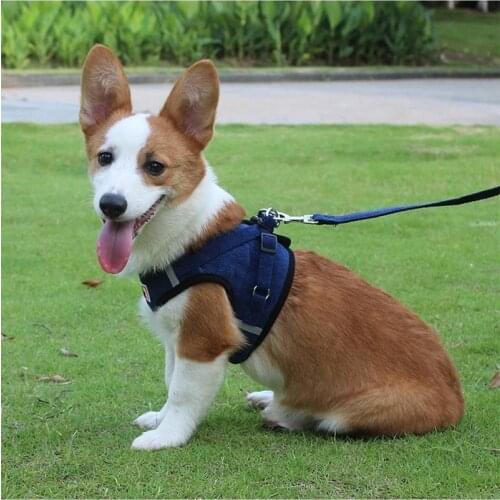 New Fashion Pet Dog Harness and Leash Set Vest Reflective Dog Chest Strap for Small and Medium Dog Assessories