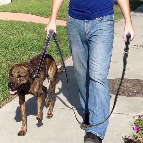 Dog Leash Stronger Clip Traffic Padded Two Handle Heavy Duty Double Handles Lead for Control Safety Training Leashes