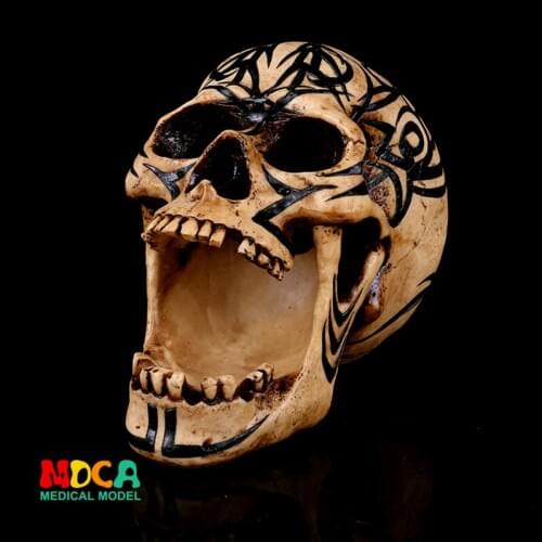 Human.skull model medical simulation teaching equipment resin skull Ornament Gift YTTG013