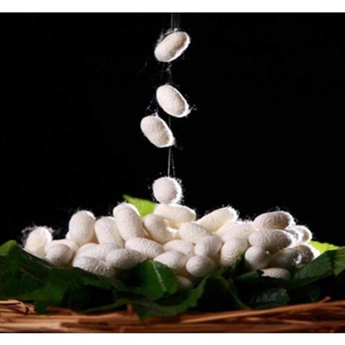 Silkworm Cocoons Ball for Facials Clean 10 pcs Purifying Whitening Exfoliating Scrub Blackhead Remover Natural Silk Cocoons