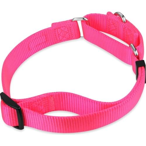 Nylon Martingale Training Collar Adjustable Pet Dog Collar For Large Medium And Small Dogs Supplies Seven Colors S/M/L HY139