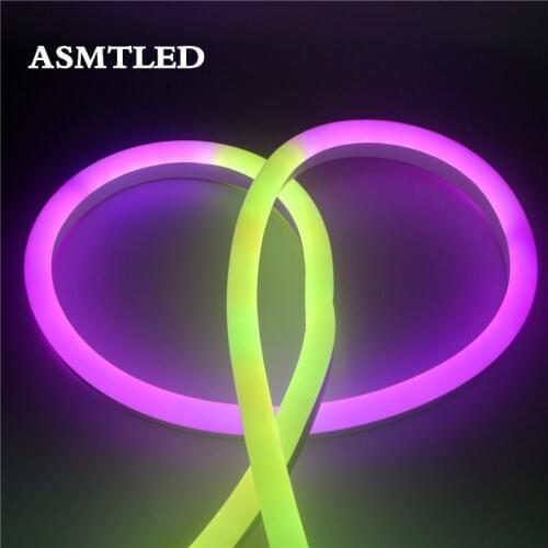 LED Neon lamp Tape Night light DC 12V 24V LED Strip Luminary Letter Decoration Garden Wedding Christmas WS2811 Pixel Neon light