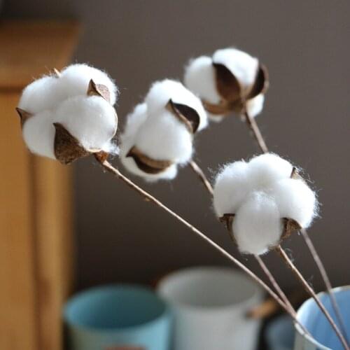 10Pcs Preserved Cotton With Iron Branch High Quality Bouquet Flowers Photograph Home Desktop Office Garden Decoration Modern Art