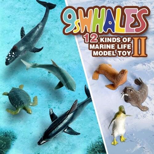 Realistic Ocean Sea Animal Action Figures Model Educational Fidget Toy PVC Scene Design Simulation figurine Decoration Gift