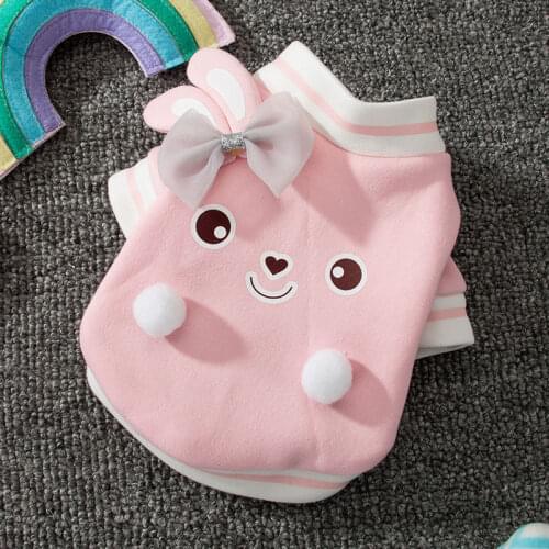 Cartoon hoodie dog Clothes Thicker for dogs Clothing small cotton pet Outfits cute soft autumn winter Yorkies pink girl mascotas