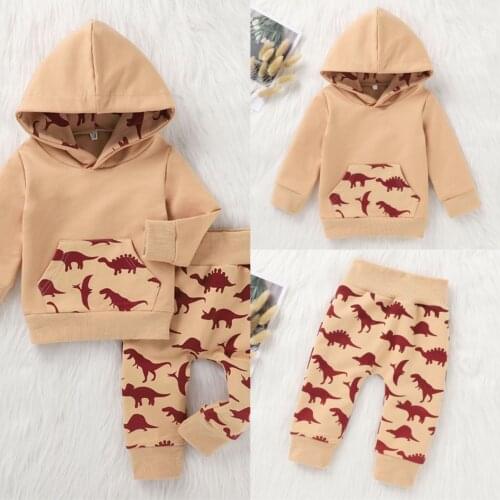 Baby Boys Clothing Children Cartton Dinosaur Printed Winter Warm Hooded Sweatshirts + Pants 2pcs/Set Kids Baby Tracksuits