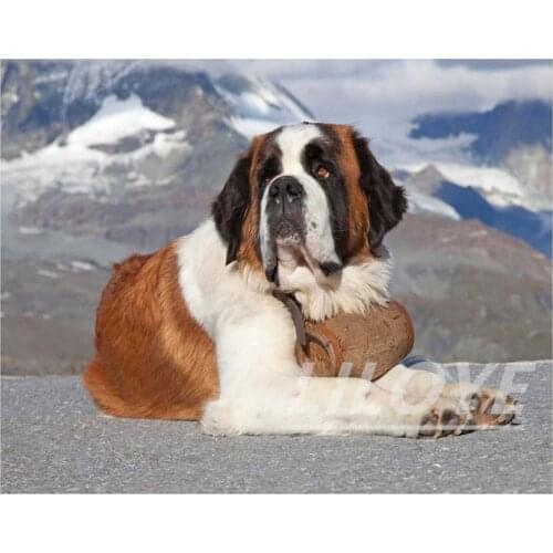 Diamond Embroidery Pet Saint Bernard Dog 5D Diamond Painting Rhinestone Mosaic Full Square Round Diy Decor Christmas Deals DF152