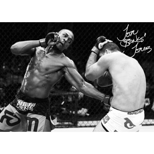 JON BONES JONES - MMA Picture Art Silk Poster Print 24x36inch