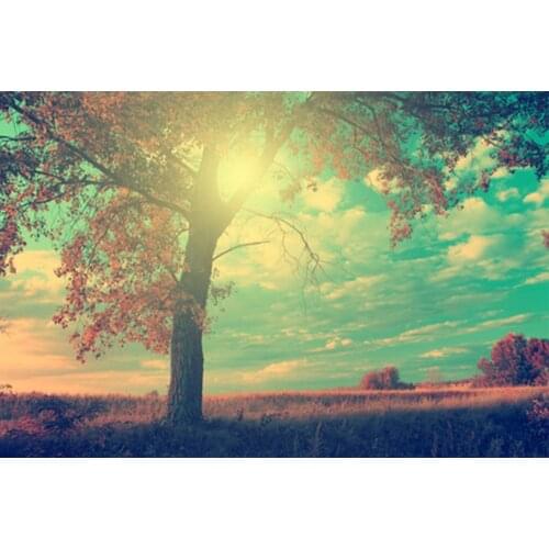 Diy 5D Diamond Painting Landscape Tree Cross Stitch Full Circle/Full Square Rhinestone Kit Home Decoration Mosaic Art Gift