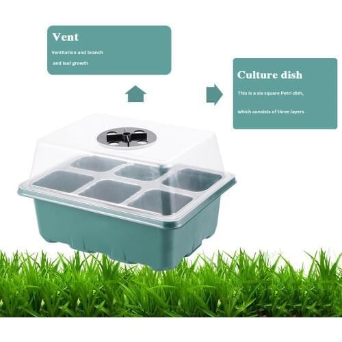 Breathable Cover Nursery Pots Cuttage Seedling Cultivation Grow 6 Cells 12 Cells Indoor terrariums for plants