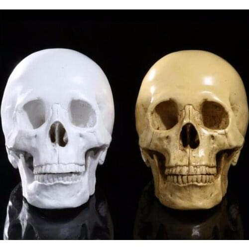 Teaching resin skulls bar display human skull model Home Decoration Halloween human skeleton model free shipping