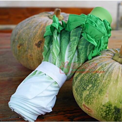 Personality Creative Umbrella Fashion Fresh Simulation Cabbage Lettuce Umbrella Fruit Vegetable Children Umbrella