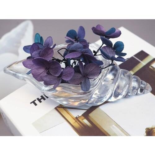 DIY Crystal Epoxy Mold Three-dimensional Mirror Epoxy Thick Durable Conch Resin Mould Jewelry Storage Decoration Craft Tool 2021