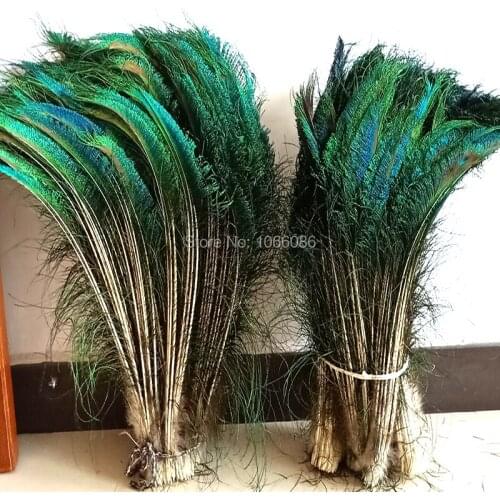 Hot Sale! 1000pcs/lot sword peacock feathers 70-80cm length natural peacock feather Peacock Feather costumes