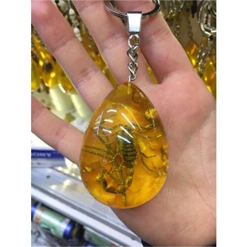 Scorpion Fossil Dust Amber Keychain Gift Products Home Car Keychain Design Products Bag Belt Accessory