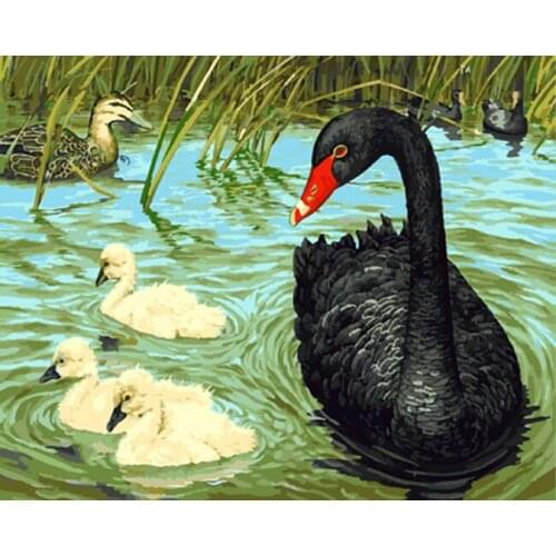 Frameless picture oil painting by numbers wall decor diy painting on canvas for home decor 4050 Black Swan
