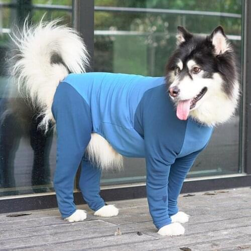 Big Dog Bodysuit Jumpsuit Surgical Protection Long Sleeve Bodysuit Jumpsuit Surgical Recovery Anxiety Calm Shirt Post Big Dogs