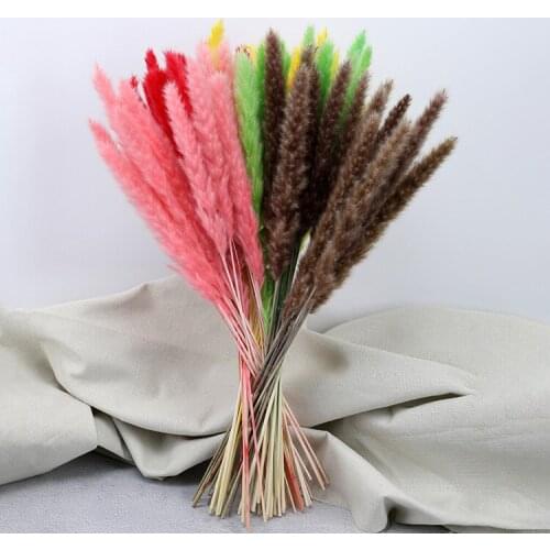 15 Pcs Natural Dried Pampas Grass Wedding Party Decoration Flower Family Store Home Christmas Decor Air-drying Ornament
