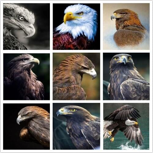 5d Diy Diamond Painting Animal Eagle Falcon Square/Round Diamond Embroidery Animal Picture Diamond Mosaic Home Decoration