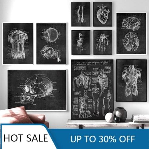 Canvas Painting Muscle Foot Bone Heart Anatomy Skeleton Wall Art Nordic Posters And Prints Wall Pictures For Doctor Office Decor