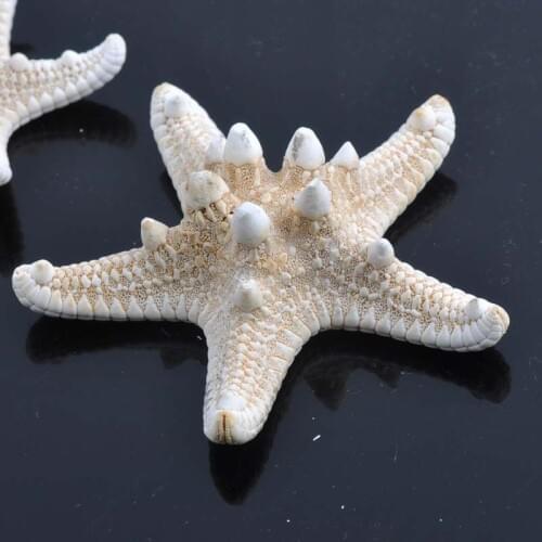 Natural Starfish BEIGE color Scrapbooking Carft for party Home decoration random mixed 2pcs 1-6CM CP0328