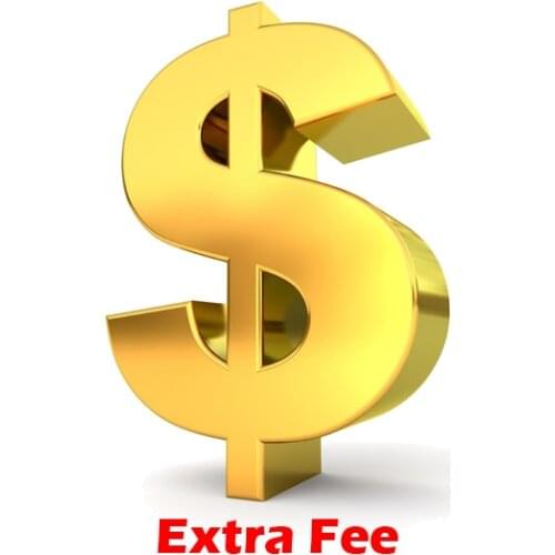 RAYKUBE Extra Fee Payment