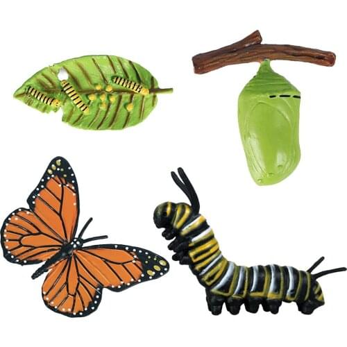 4PCS Insect Growth Cycle Animals Model Butterfly Figurine Miniature Educational Toy For Kids Classroom Figures Imagination Toy
