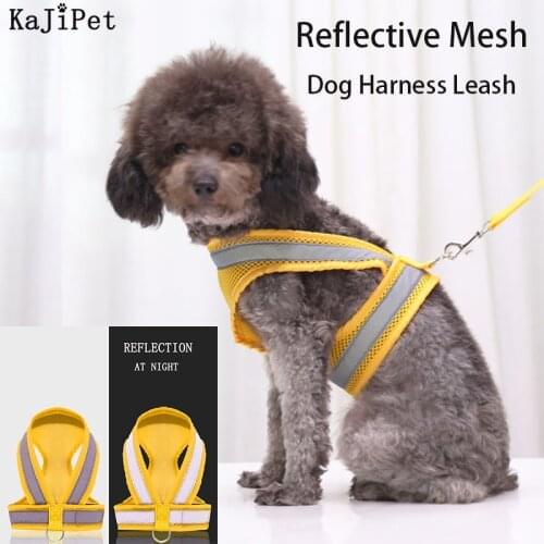 Reflective Mesh Dog Harness Small Medium Nylon Pet Dog Collar Leash Night Safety Collar Perro Pet Dog Harness Leash Set Collars