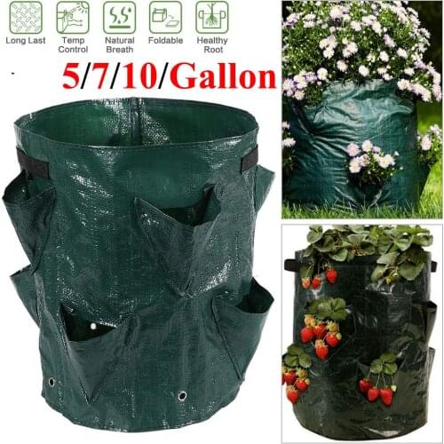 Plant Grow Bag Strawberry Seedling Flower Pot Vegetable Grow Bags Pot Plant Tomato Potato Grow Bag For Plants Nursery Pot D30