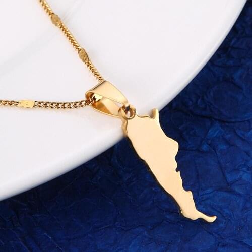 Stainless Steel Gold Color Argentina Map Pendant Necklaces Trendy Argentine Maps Chain Jewelry