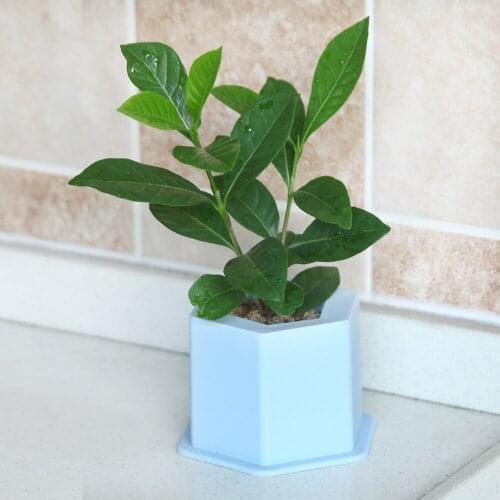 New Silicone Mold Hexagons Concrete Fleshy Flower Pot Candlestick Mold Ceramic Clay Handmade 3D DIY Crafts Ceramic Mold