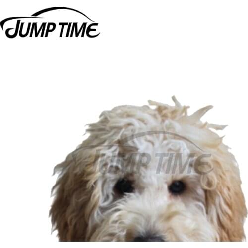 Jump Time 13 x 5.9cm For Peeking Labradoodle Car Stickers Bumper Anime Surfboard Decal Windshield Motorcycle Bumper Decoration