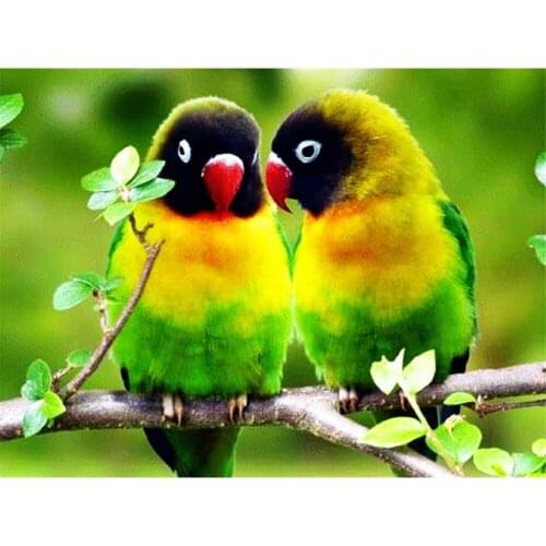 Parrot Bird Animal DIY 11CT Embroidery Cross Stitch Kits Needlework Craft Set Printed Canvas Cotton Thread Home Design