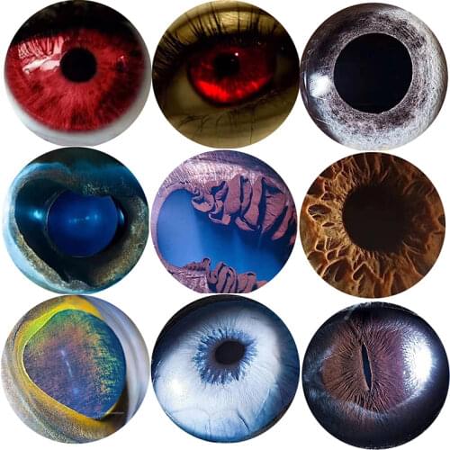 Glass eyes cabochons Round 6MM-30MM Round Dome Dragon Eye Dragon Cat Eye Toys DIY Jewelry Accessory MIX Pupil Eye Cameo