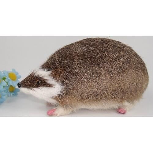 Simulation animal hedgehog model 20x12cm ,polyethylene&furs handicraft Figurines & Miniatures decoration toy gift a2955