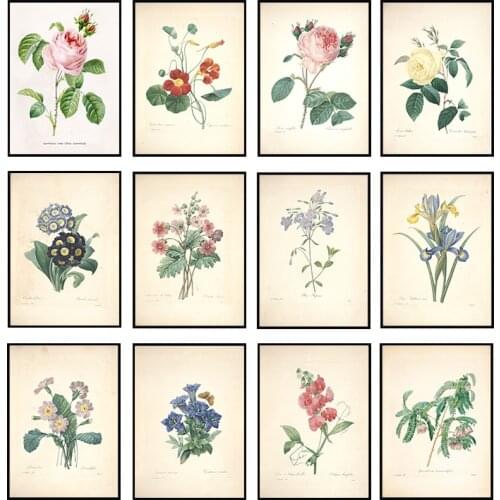 Botanical Studies Canvas Painting Vintage Posters and Prints French Plant Illustrations Botany Wall Art Pictures for Living Room