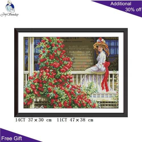 Joy Sunday Beautiful Woman Needlework RA223 14CT 11CT Counted and Stamped Home Decor The Woman On The Railing Cross Stitch kit