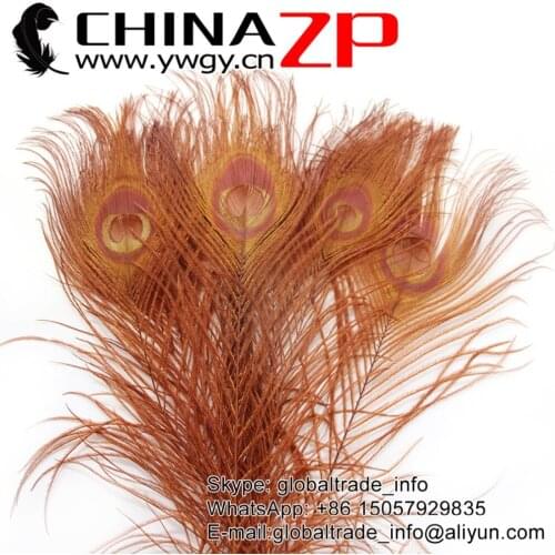 Manufacturer in CHINAZP Factory 100pcs/lot Good Quality Full Eye Dyed Brown Peacock tail Feathers